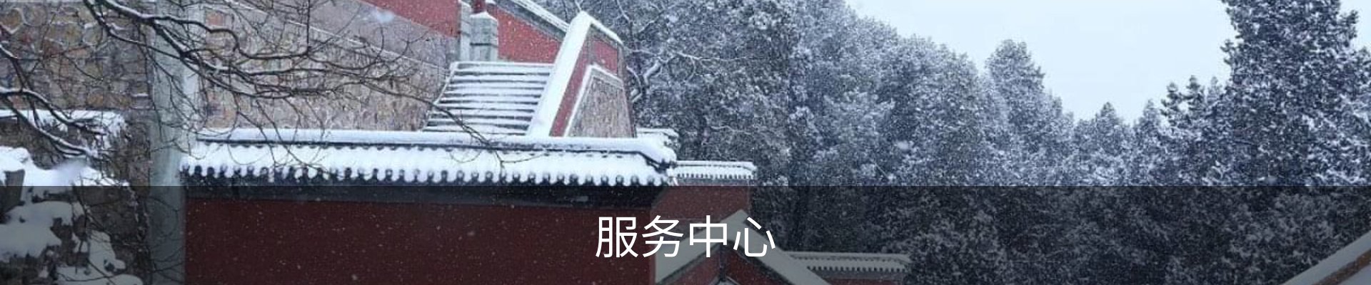 服务中心